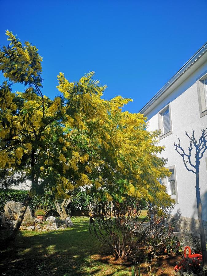 Apartment Marica